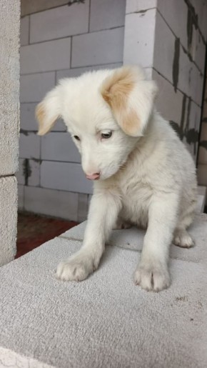  :   