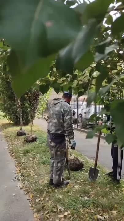  :        