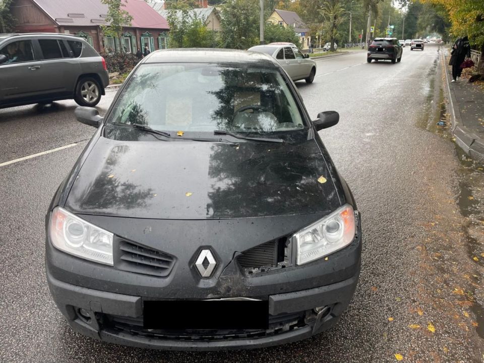 29   13  15     258 Ļ      ,   Renault Megane,  1991  ,       ...