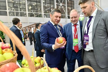 Евгений Первышов: Тамбовская область принимает участие в российской агропромышленной выставке &quot;Золотая осень-2025&quot; в Москве