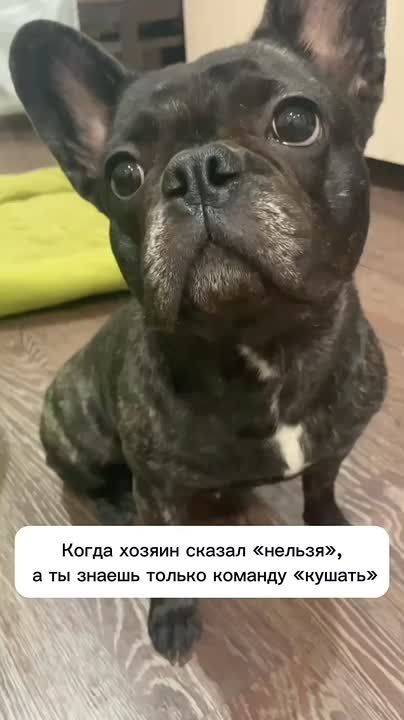    .    ,      