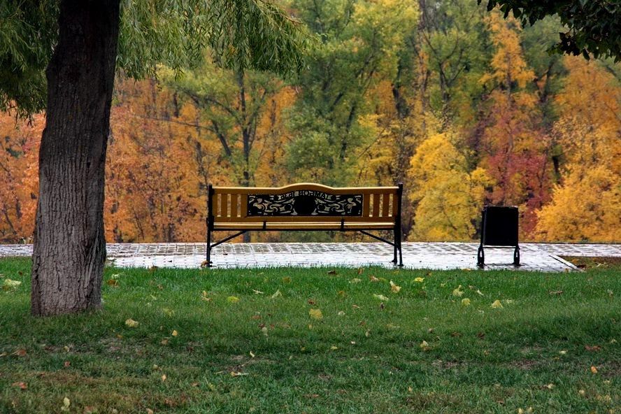 Главное в ТОПе за 11 октября: