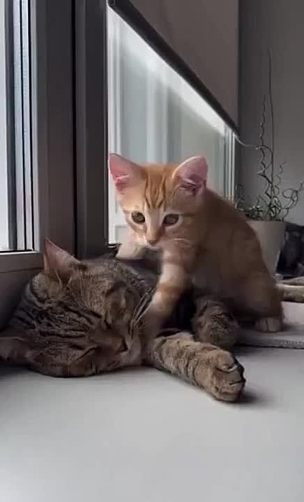 Ещё один выходной день