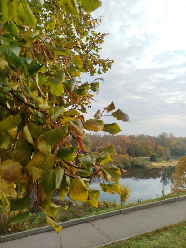 Хорошего вечера. Яна Ильина/Новый век