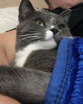  :   