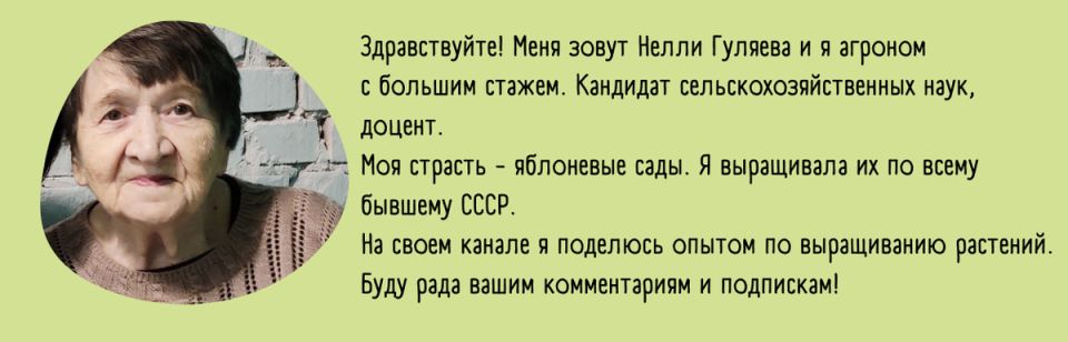 Как опавшие листья могут стать вашим секретным оружием в садоводстве