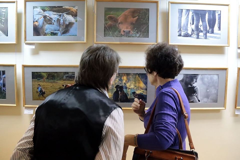 Фотовыставка историй о братьях наших меньших открылась в Пушкинской библиотеке