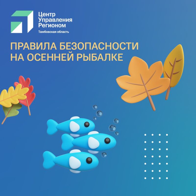Осенью многие рыбаки едут на водоёмы, стремясь завершить сезон открытой воды