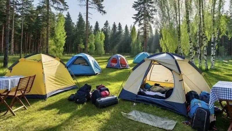 В Тамбовской области строят первый в регионе кемпинг-центр