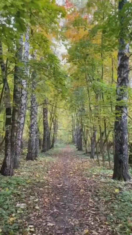 Вместо вечерней медитации. Новый век