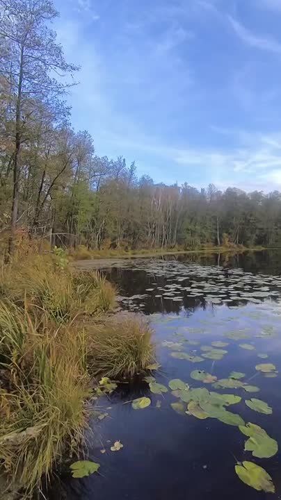 Вместо вечерней медитации. Новый век