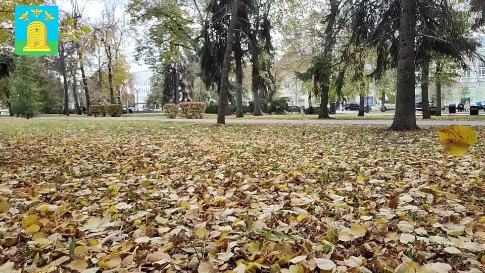 Знаетели вы, что звук шелеста листьев под ногами полезен для здоровья? Психологи считают его терапией для души, потому что он оказывает расслабляющее воздействие, снижает стресс и улучшает настроение