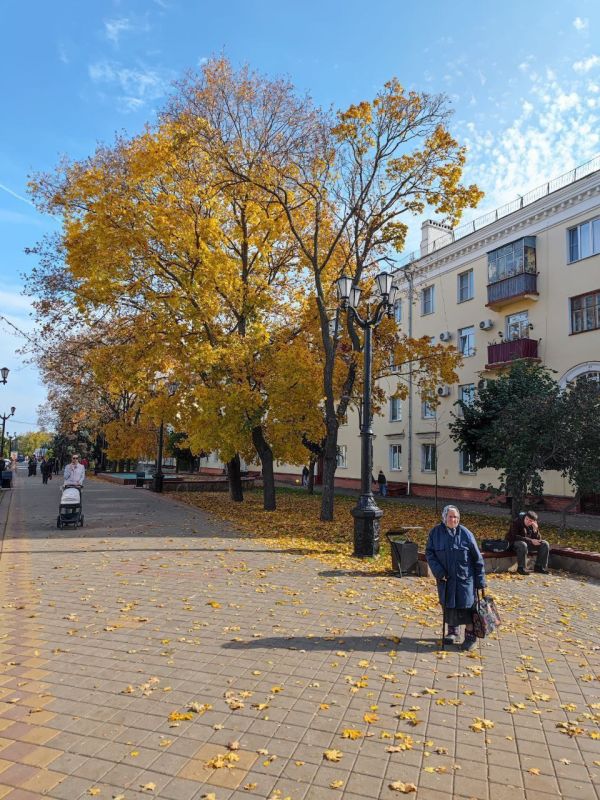 Доброе утро, Тамбов!. 20 октября будет облачно