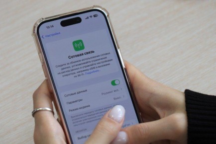 Ульяновка Уваровского округа лидирует в голосовании за мобильный интернет