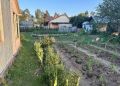Зимние запасы: как переработка пищевых отходов обеспечивает здоровый сад