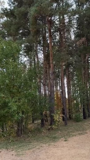 Вместо вечерней медитации. Полина Анциферова/Новый век