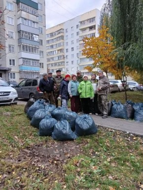 Жители Тамбова продолжают приводить в порядок свои дворы