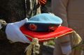 Максим Косенков: В Тамбове открыли мемориальную доску в память об участнике специальной военной операции Павле Тарасове