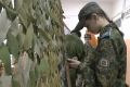 В Уваровском кадетском корпусе изготовили тысячную маскировочную сеть