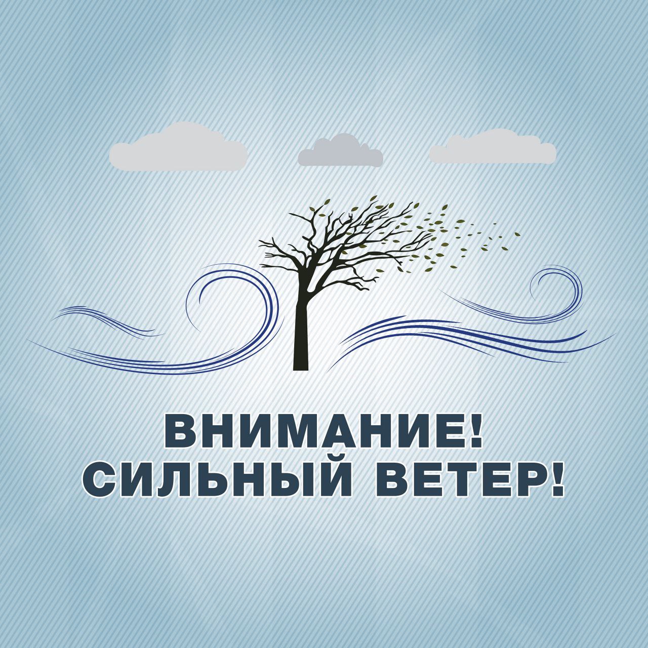 Вниманию горожан! По прогнозу синоптиков, в ближайшие 1-3 часа с сохранением вечером на территории Тамбовской области ожидается усиление юго-восточного ветра порывами 15-18 м/с