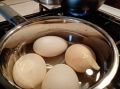 "Станет фаворитом в вашей семье": яичный салат - вкусный рецепт