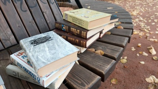 В Тамбове буккроссинг в сквере им.Боратынского пополнился новыми книгами для взрослых и детей