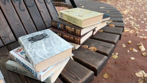 В сквере Боратынского шкаф для буккросинга пополнился новыми книгами для взрослых и детей