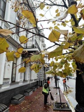 Доброе утро, Тамбов!. В течение дня будет облачно и дождливо