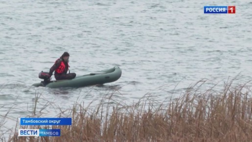 Мальки сазана из Саратовской области переехали на ПМЖ в Челнавское водохранилище