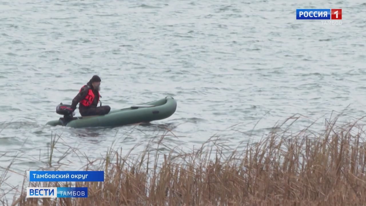 Мальки сазана из Саратовской области переехали на ПМЖ в Челнавское водохранилище