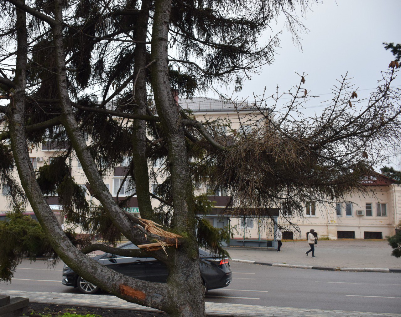 Сегодня активные жители из советов микрорайонов, специалисты администрации Тамбова и Дирекции благоустройства, а также представители городской Думы провели комиссионное обследование елей на Привокзальной площади у фонтана Сегодня активные жители из советов микрорайонов, специалисты администрации Тамбова и Дирекции благоустройства, а также представители городской Думы провели комиссионное обследование елей на Привокзальной площади у фонтана
