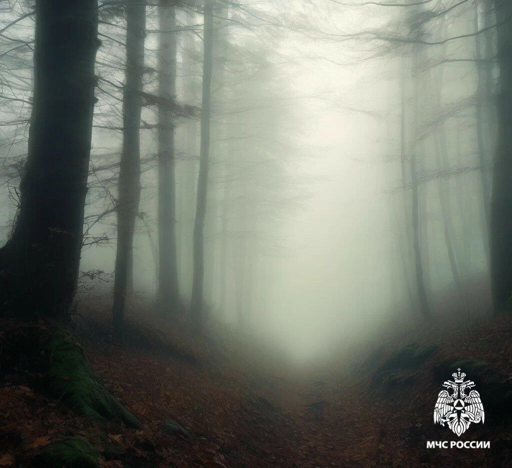 На завтра снова туман. По данным Тамбовской ЦГМС 31 октября ночью и утром местами на территории Тамбовской области ожидается туман