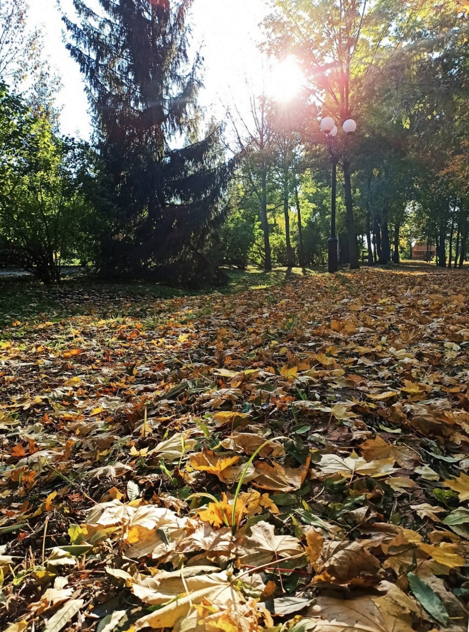 Осенняя "Ивановка". Новый век в MAX Осенняя "Ивановка". Новый век в MAX