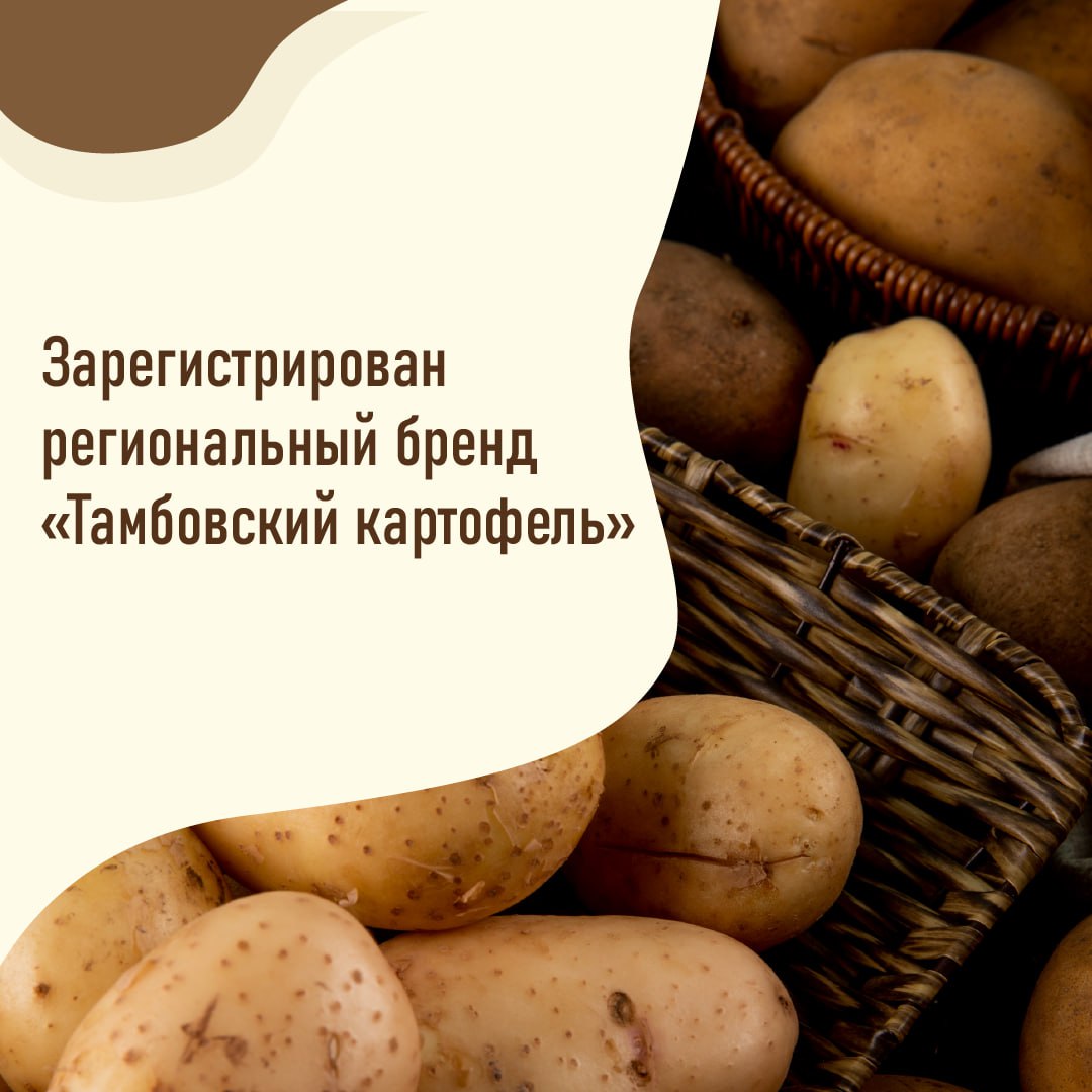 О тамбовском картофеле теперь узнает вся страна