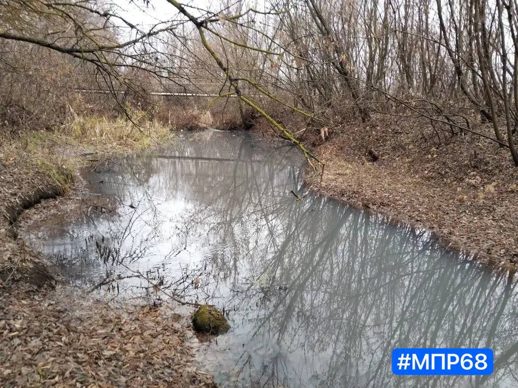 В Тамбовской области выясняют причины загрязнения реки Мучкап