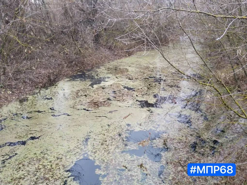 В Тамбовской области выясняют причины загрязнения реки Мучкап В Тамбовской области выясняют причины загрязнения реки Мучкап