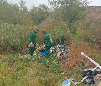 Администрация Моршанского округа заплатит более 7 миллионов рублей за вред почвам