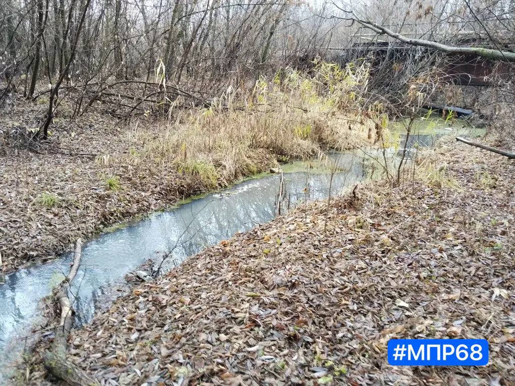 В Тамбовской области выясняют причины загрязнения реки Мучкап В Тамбовской области выясняют причины загрязнения реки Мучкап