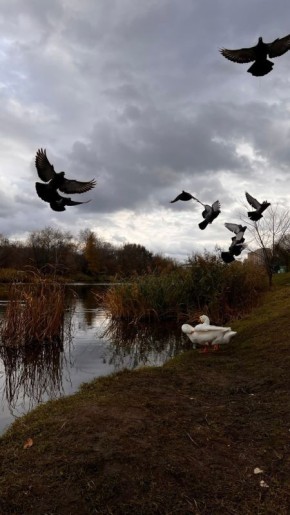 Хорошего вечера. Саша Одинокова/ВК "Красивый Тамбов" Новый век в MAX