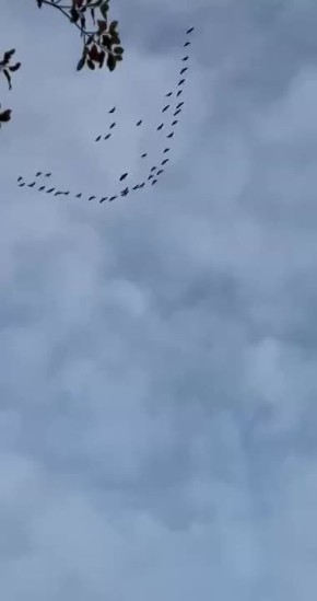 Вместо вечерней медитации. Новый век Новый век в MAX