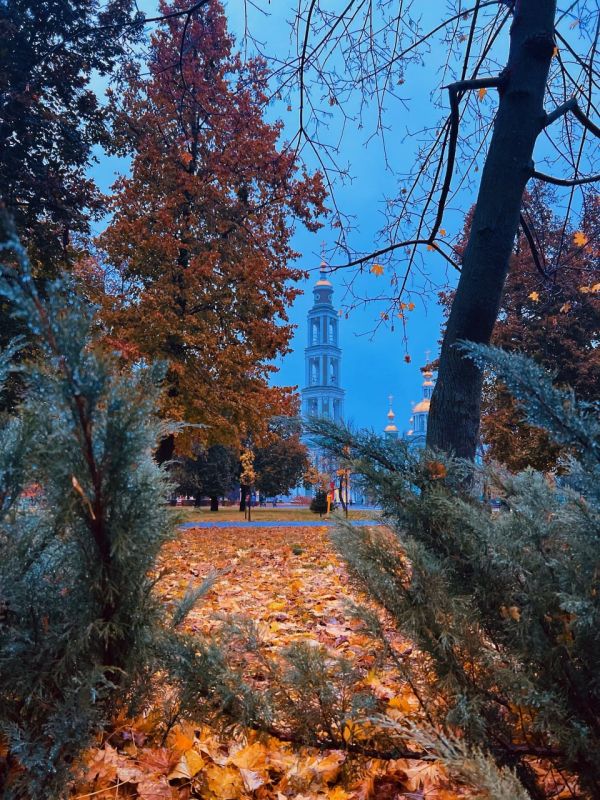  .  / &quot; &quot;    MAX