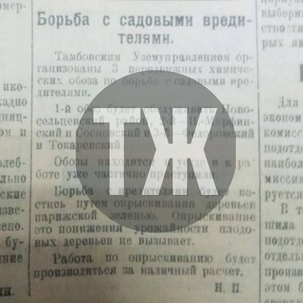О борьбе с садовыми вредителями, липовой экономии и подпольном аборте “Тамбовская правда” писала сто лет назад О борьбе с садовыми вредителями, липовой экономии и подпольном аборте “Тамбовская правда” писала сто лет назад