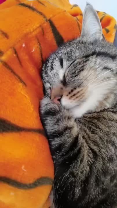 Как ощущается утро в нерабочий понедельник