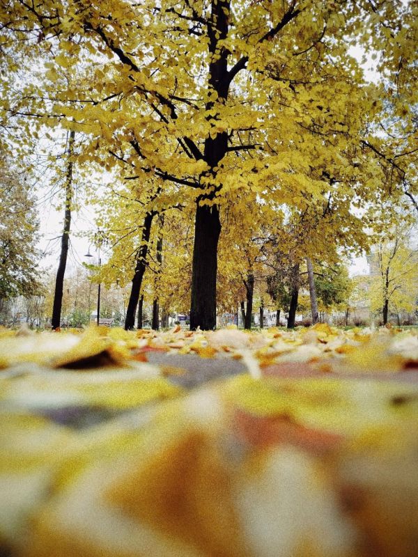 Хорошего вечера. Яна Ильина/Новый век Новый век в MAX