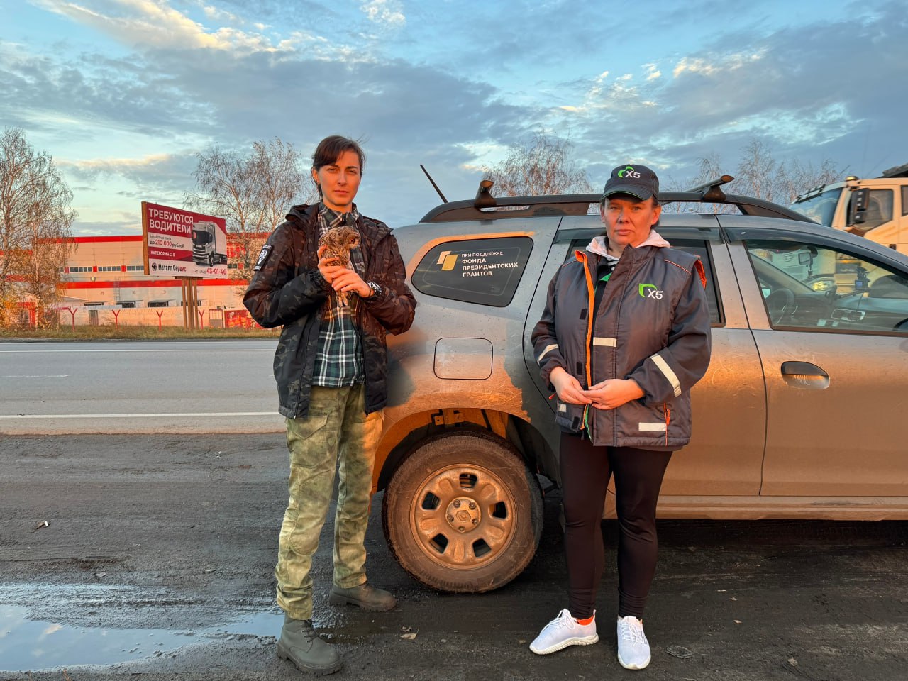 В Центре охраны хищных птиц в Мичуринске спасают ушастую сову В Центре охраны хищных птиц в Мичуринске спасают ушастую сову