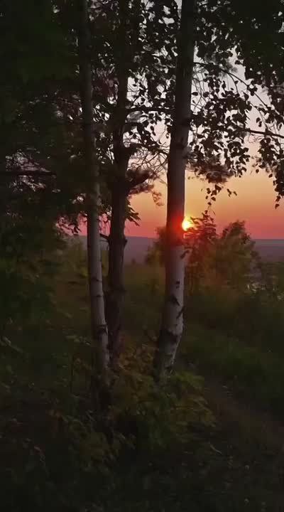 Вместо вечерней медитации