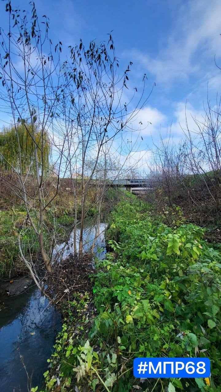 В Тамбове готовят проект расчистки русла реки Студенец В Тамбове готовят проект расчистки русла реки Студенец