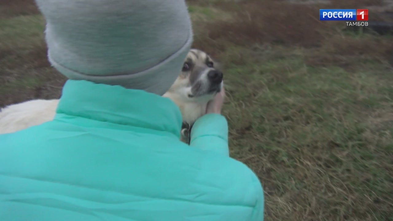 Сегодня в рубрике «Путь домой» с нами волонтёр Мария и пёс Пират