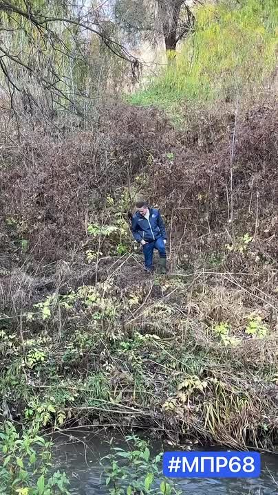 В Тамбове готовят проект расчистки русла реки Студенец