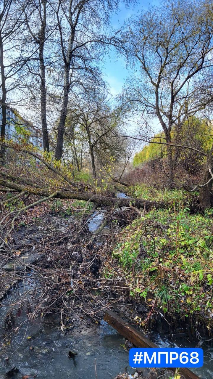 В Тамбове готовят проект расчистки русла реки Студенец В Тамбове готовят проект расчистки русла реки Студенец